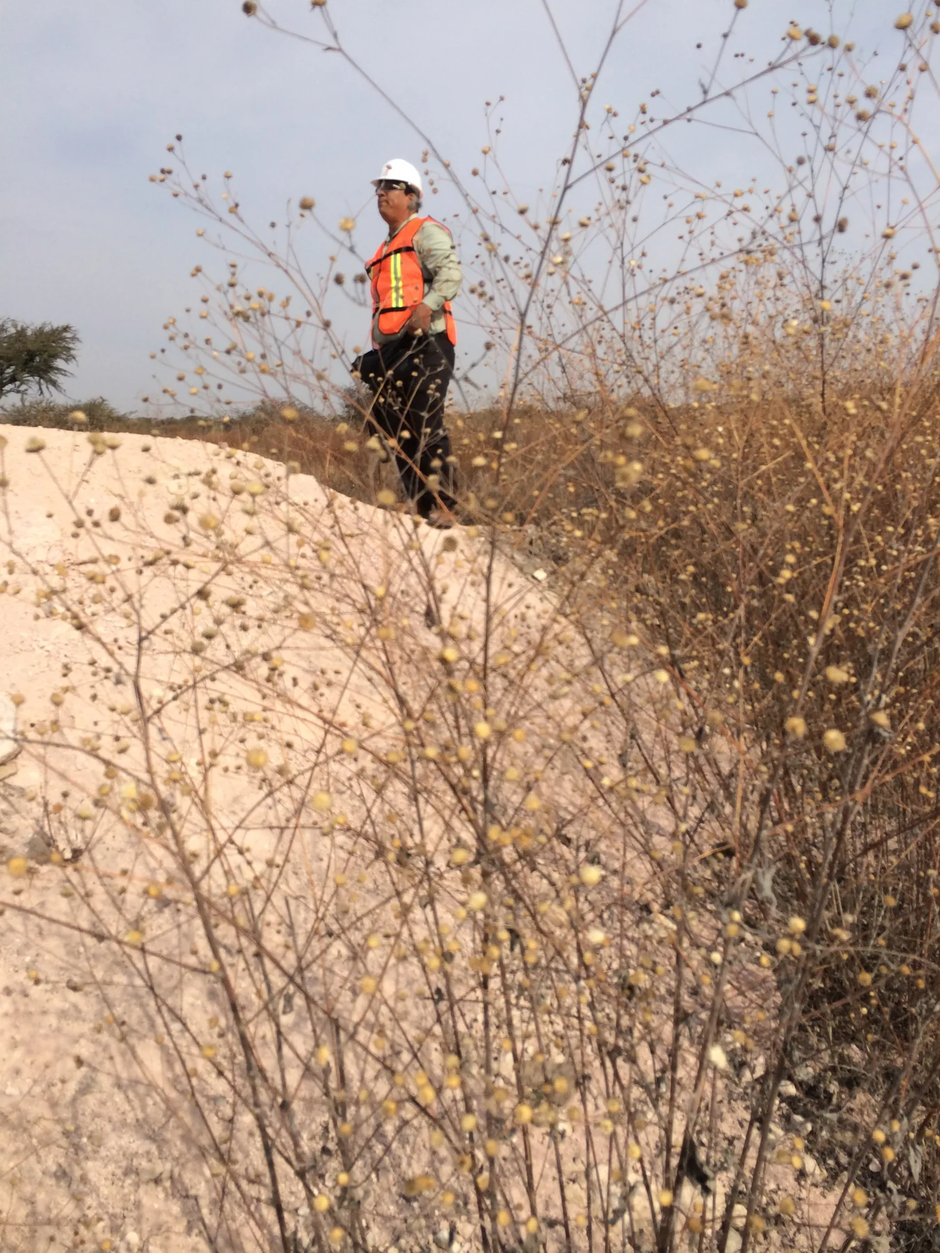 Trabajo técnico de Maica Terra en campo